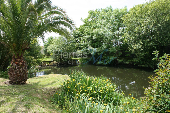 le-plan-d-eau