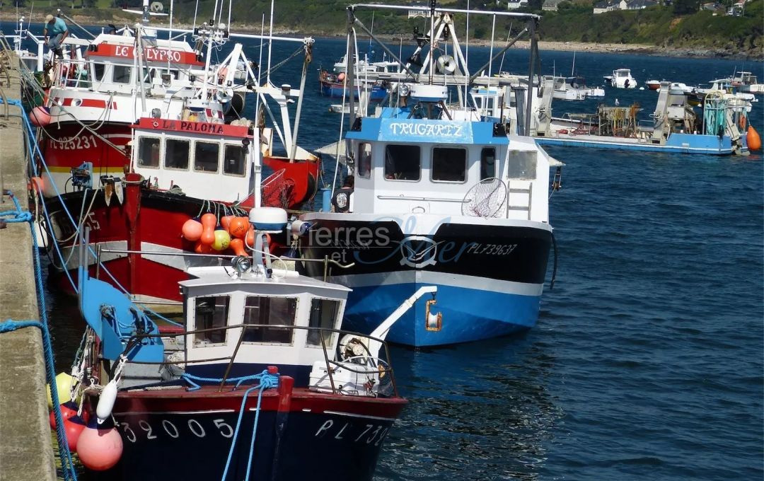 Le petit port de pêche