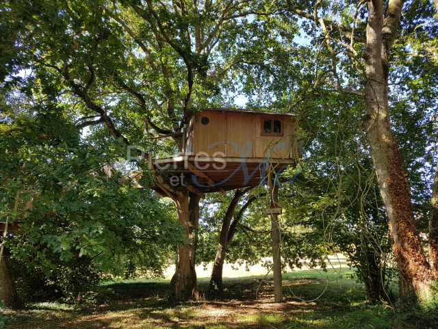 cabane dans les arbres 