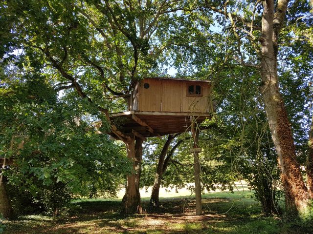cabane dans les arbres 