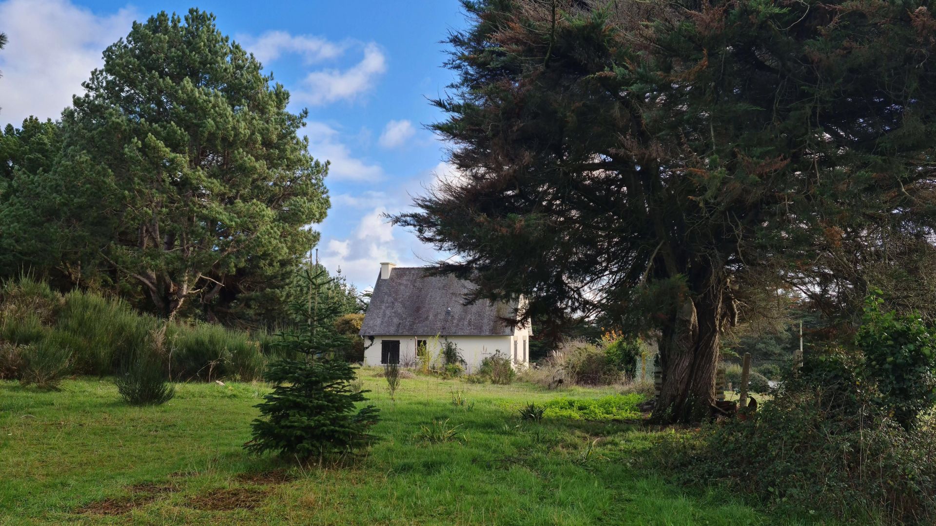 CHARMANTE MAISON BRETONNE A ERQUY
