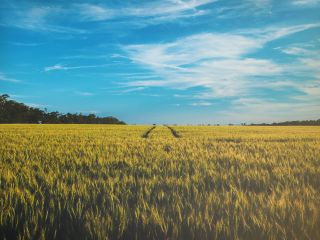 Diviser sa propriété en Bretagne