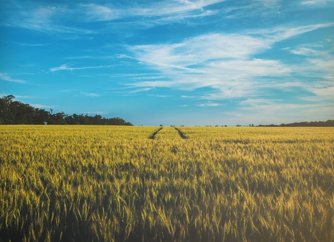 Diviser sa propriété en Bretagne