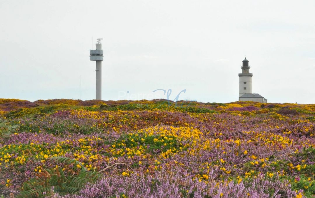 maison de pêcheur île d'Ouessant, Finistère