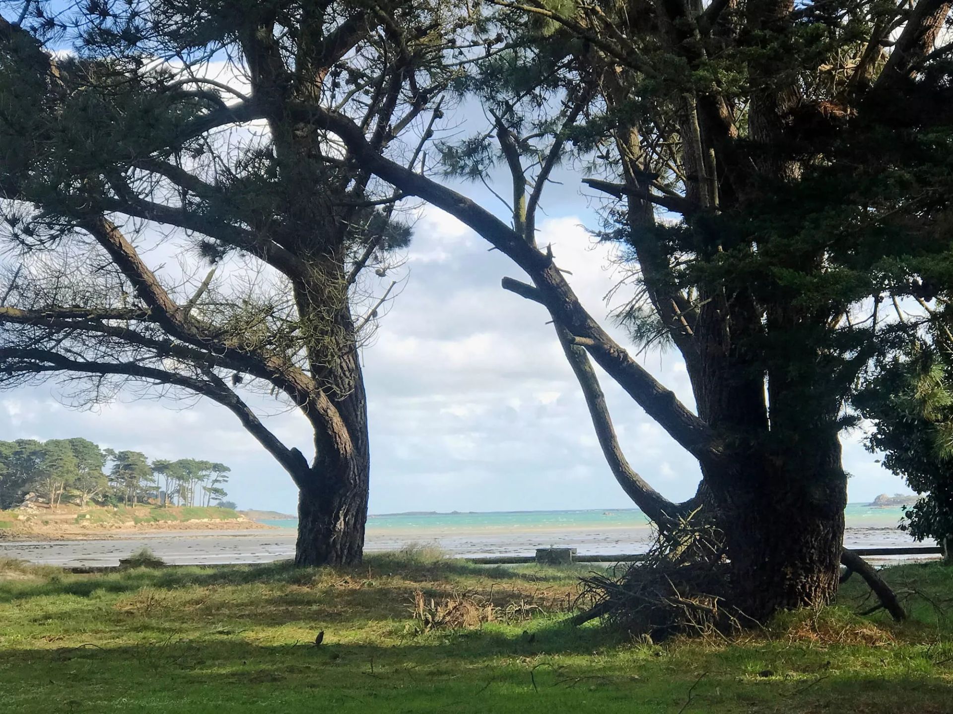 MAISON LES PIEDS DANS L'EAU A ROSCOFF