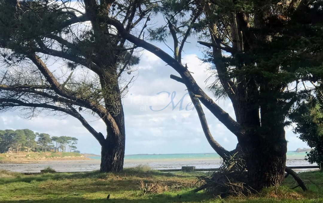 MAISON LES PIEDS DANS L'EAU A ROSCOFF 