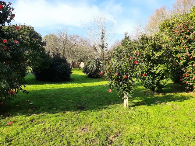 jardin