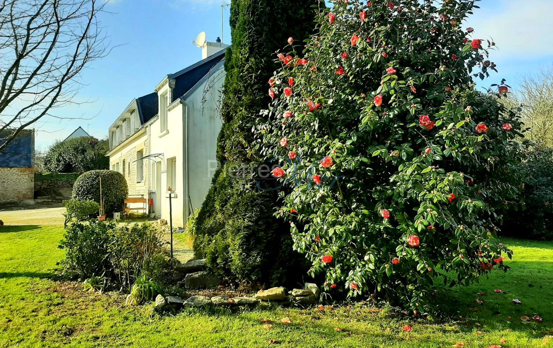 jardin et maison vue droite