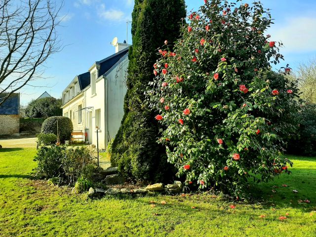 jardin et maison vue droite