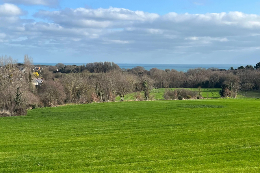 Propriété de 3 gites et dépendance proche de la mer à Tréveneuc