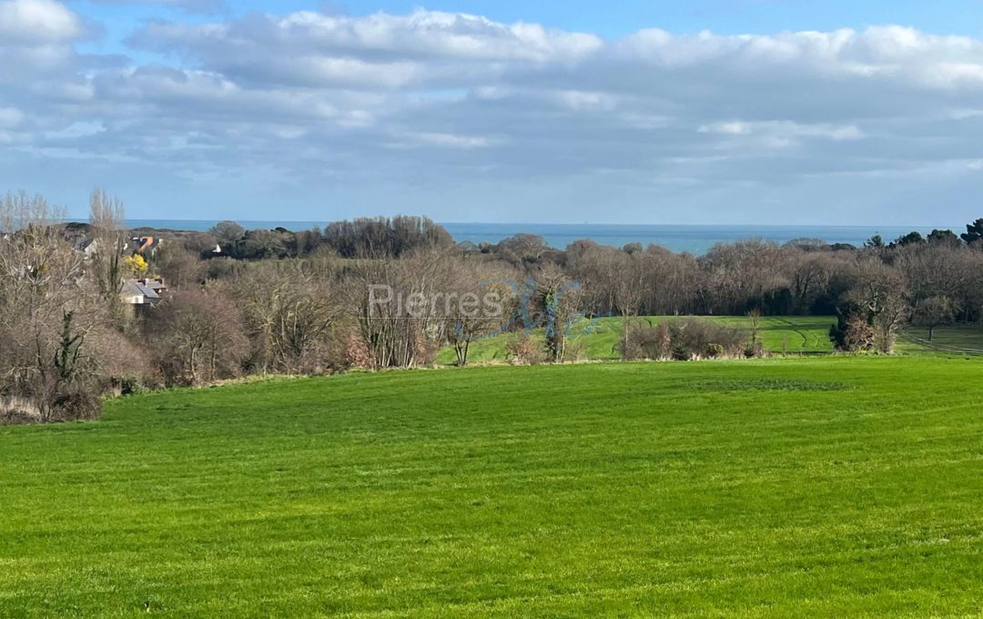 Propriété de 3 gites et dépendance proche de la mer à Tréveneuc 