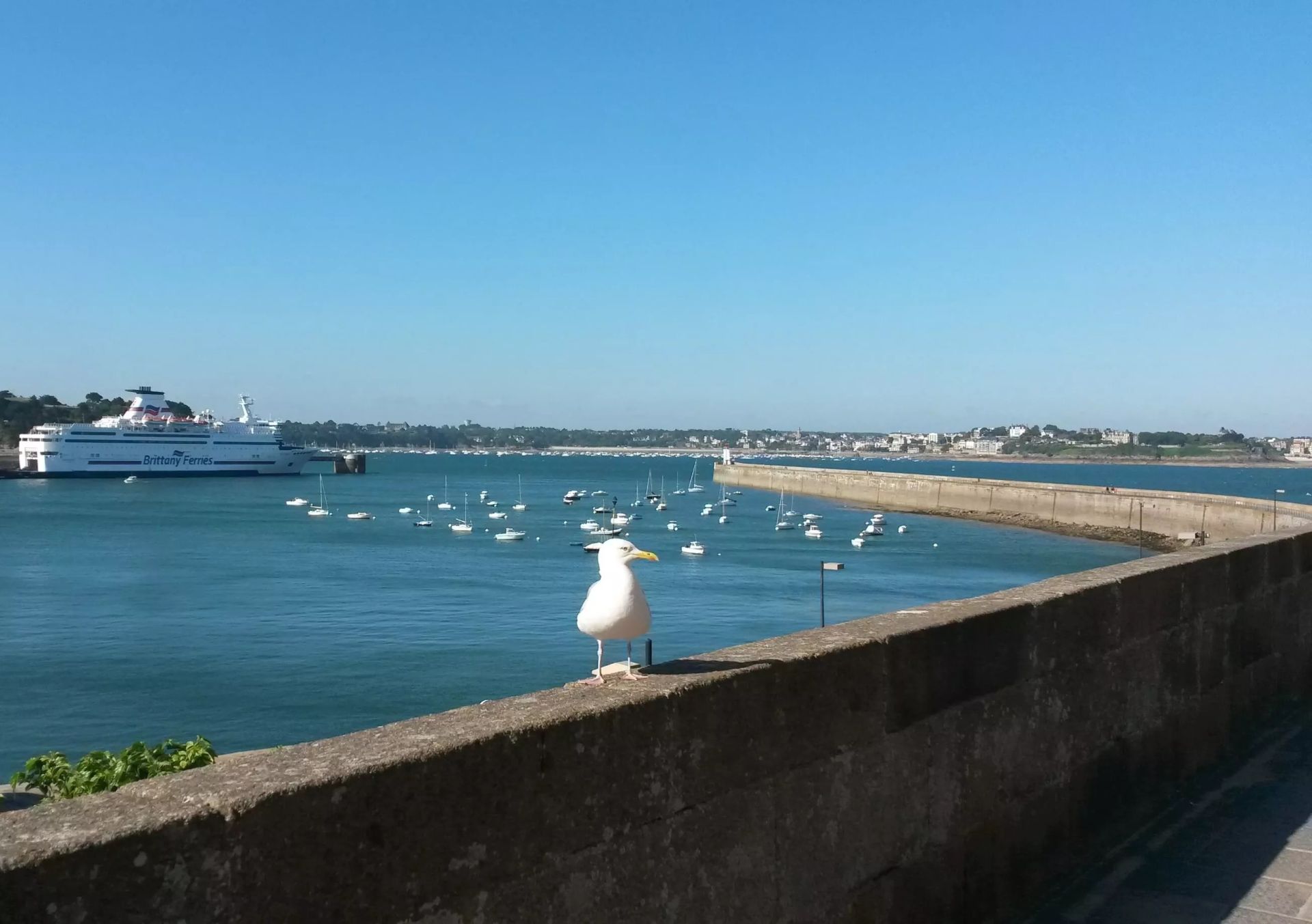 Grand appartement vue mer à Saint-Malo Intra-Muros