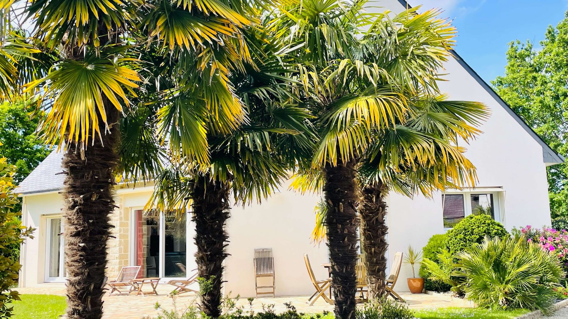 Belle maison contemporaine La Forêt-Fouesnant