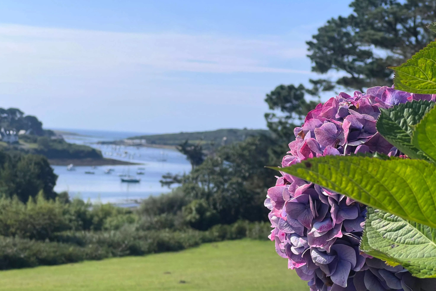 Maison vue mer Les Abers Bretagne Nord