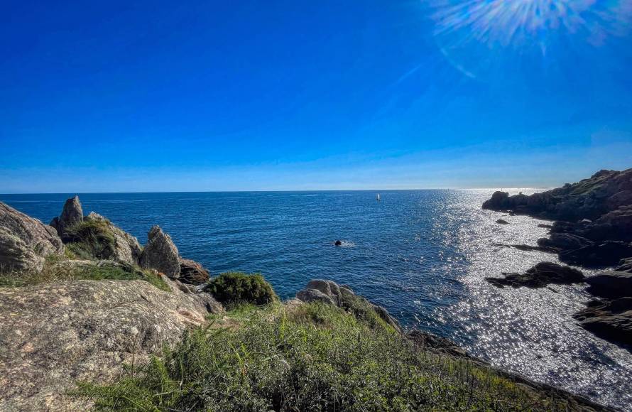 Chaumière NEVEZ Port Manec'h