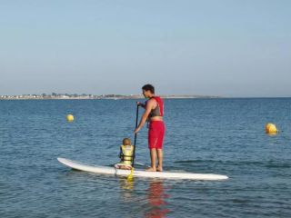 stand-up-paddle