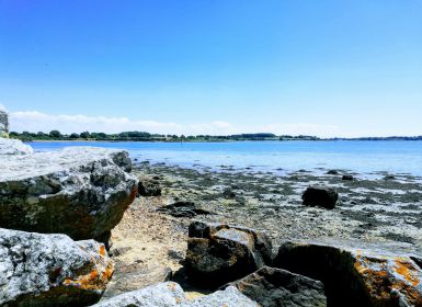 La pointe des immigrés dans le Golfe du Morbihan