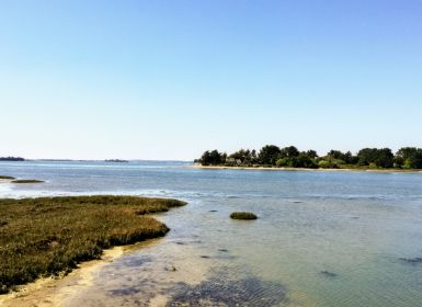 Ballade dans les marais au passage de St Armel dans le Golfe du Morbihan